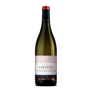 бяло вино Cattleya Sauvignion Blanc & Chardonnay m1