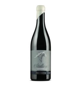 бяло вино Stallion Sauvignon Blanc Selection 2022