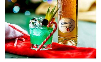 Syrup GiFFard - топ цени - онлайн магазин за алкохол Ноков и Син - 42