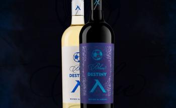 BLUE DESTINY - топ цени - Онлайн магазин за алкохол Ноков и Син