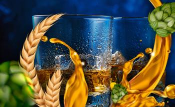 Малцово уиски - топ цени - Онлайн магазин за алкохол Ноков и Син
