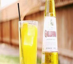 Галиано - топ цени - Онлайн магазин за алкохол Ноков и Син