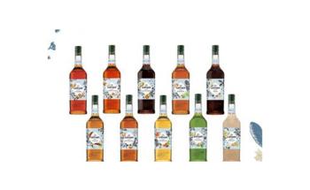 Syrup GiFFard - топ цени - Онлайн магазин за алкохол Ноков и Син