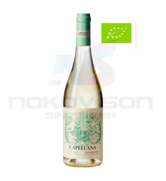 био вино Bodegas Nodus Blanco D.O Utiel - Requena Capellana