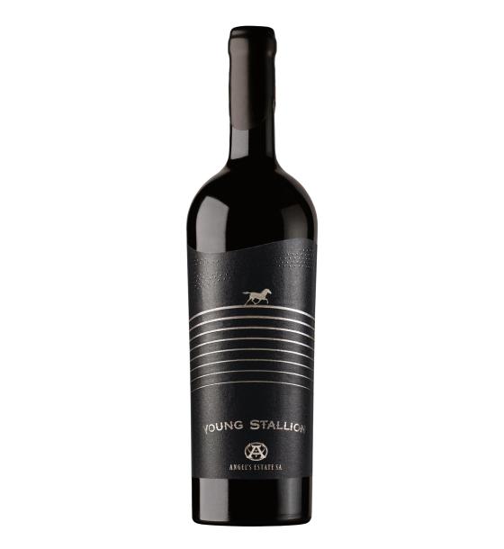 червено вино Young Stallion Merlot Cabernet Sauvignon Cabernet Franc & Syrah